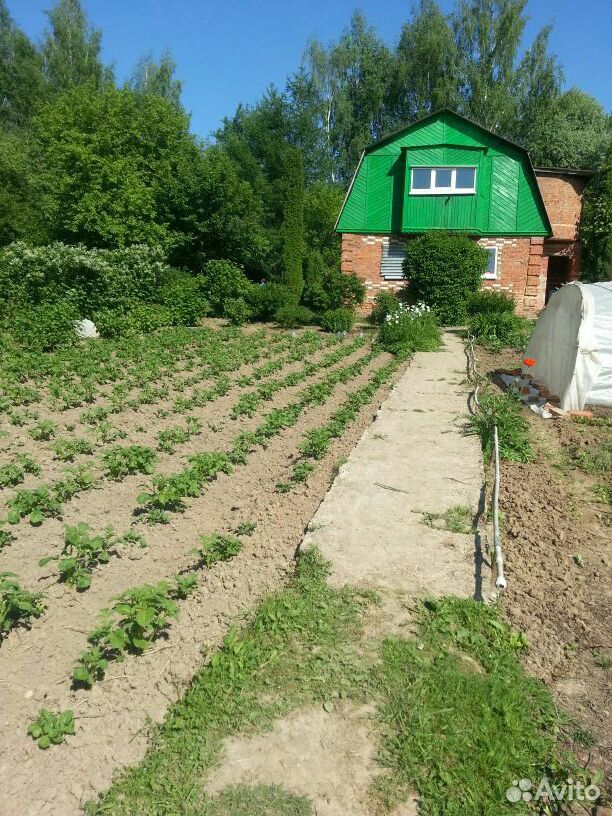 Дачи в тульской. Дача Тула. Скрытого дачи Тульская область. Смородник дача Тула.