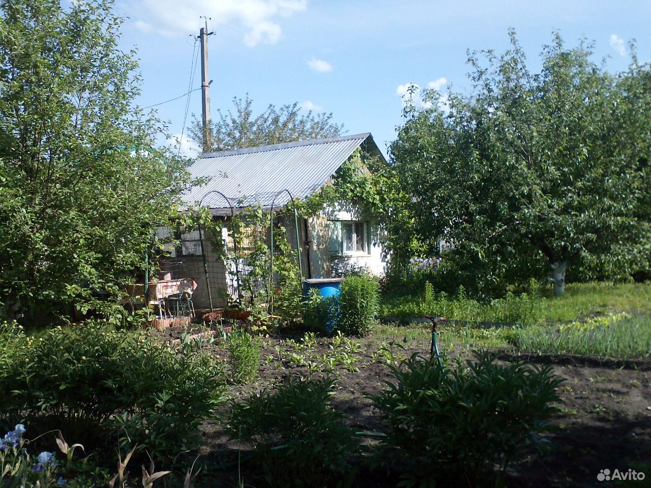 Детские дачи новокуйбышевск. Дача в Новокуйбышевске. СНТ Дубрава Новокуйбышевск. Авито Новокуйбышевск.