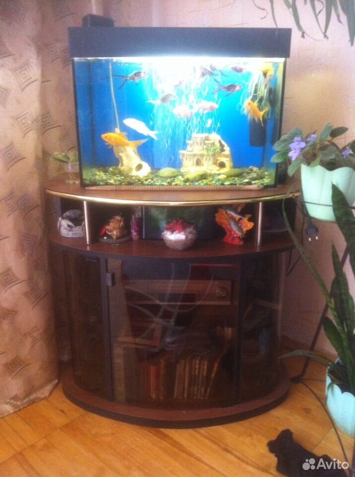 Продается аквариум 60 литров купить на Зозу.ру - фотография № 1