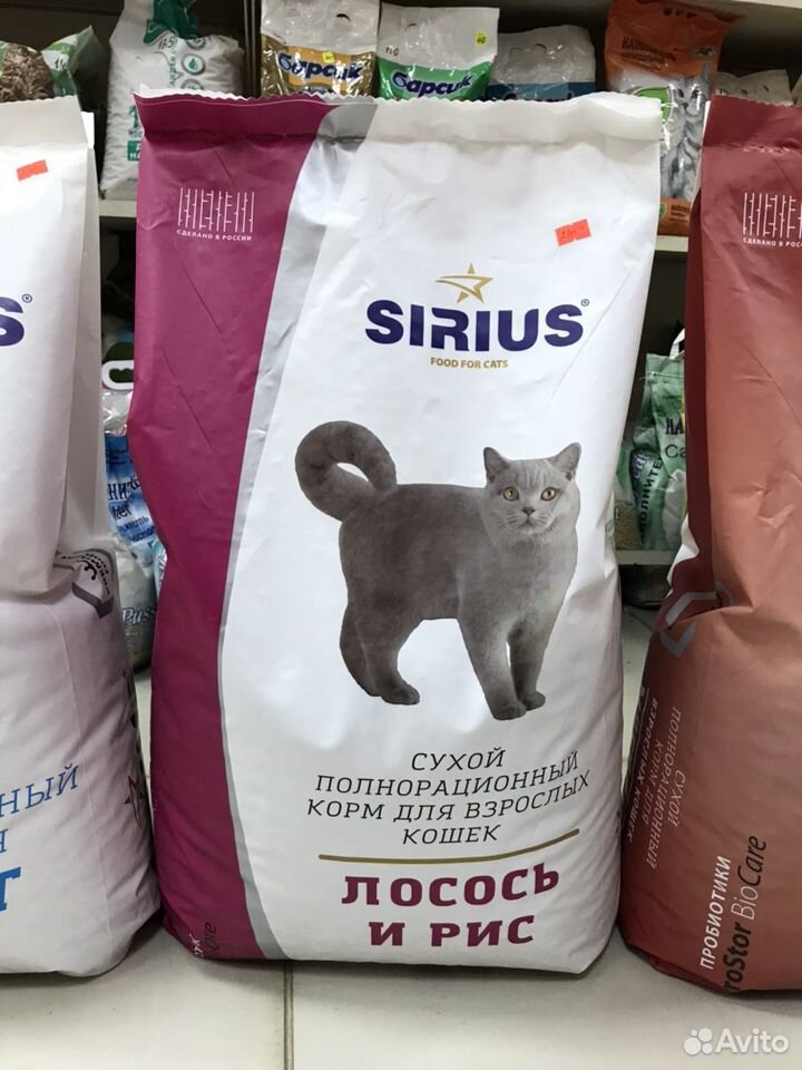 Купить сириус для кошек 10
