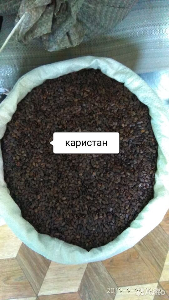 Семена арбуза каристан,атаман,барака купить на Зозу.ру - фотография № 1