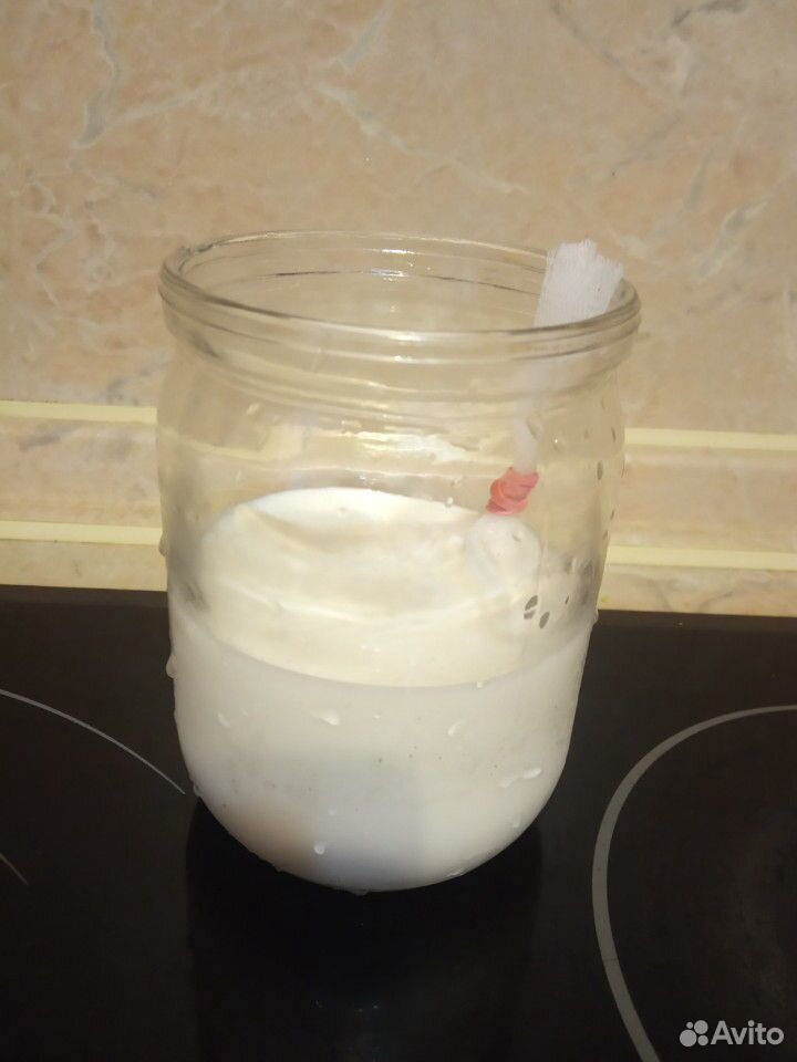 Гриб молочный для приготовления домашнего кефира купить на Зозу.ру - фотография № 3