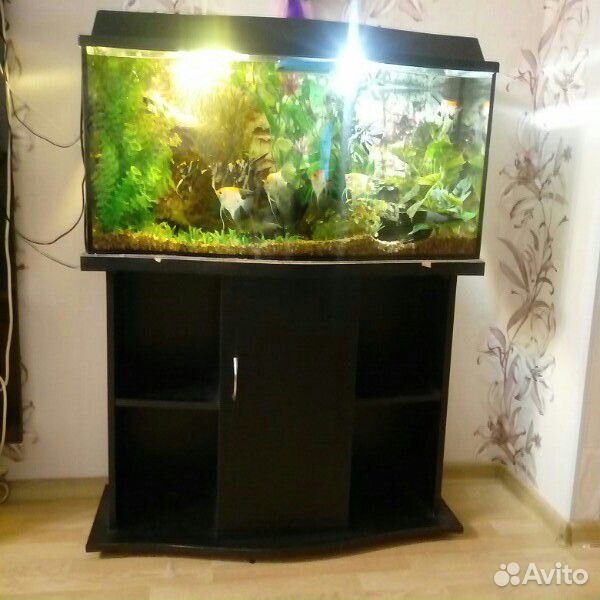 Продам аквариум 130л с тумбой купить на Зозу.ру - фотография № 8