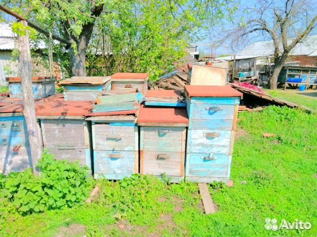 Улики для пчел купить на Зозу.ру - фотография № 1