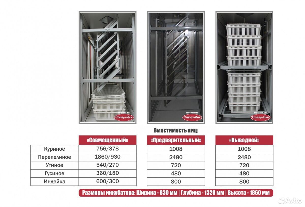 Вместимость инкубатора. Инкубатор стимул Инк 1000. Инкубатор стимул Инк 500. Инкубатор фермерский стимул Инк 4000. Инкубатор стимул ИП-8м1.