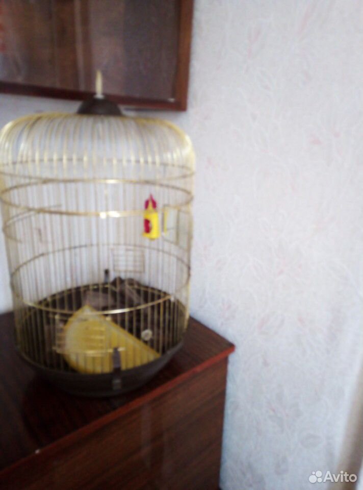 Клетка для птиц,высота 48 см купить на Зозу.ру - фотография № 2