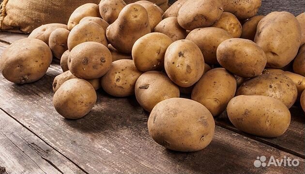 Продам крупный картофель купить на Зозу.ру - фотография № 1