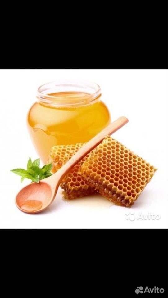 Мёд натуральный купить на Зозу.ру - фотография № 2