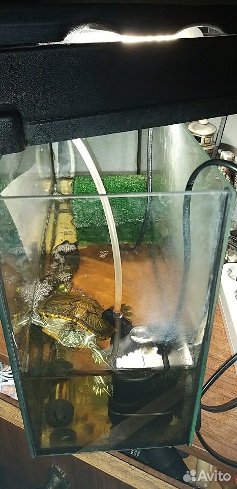 Черепахи с аквариумом купить на Зозу.ру - фотография № 2