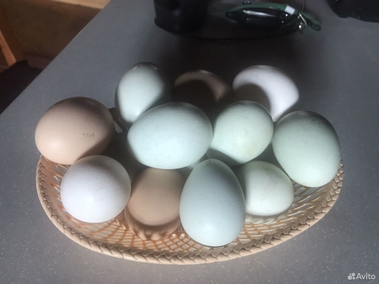 Яйцо куриное голубое купить на Зозу.ру - фотография № 1
