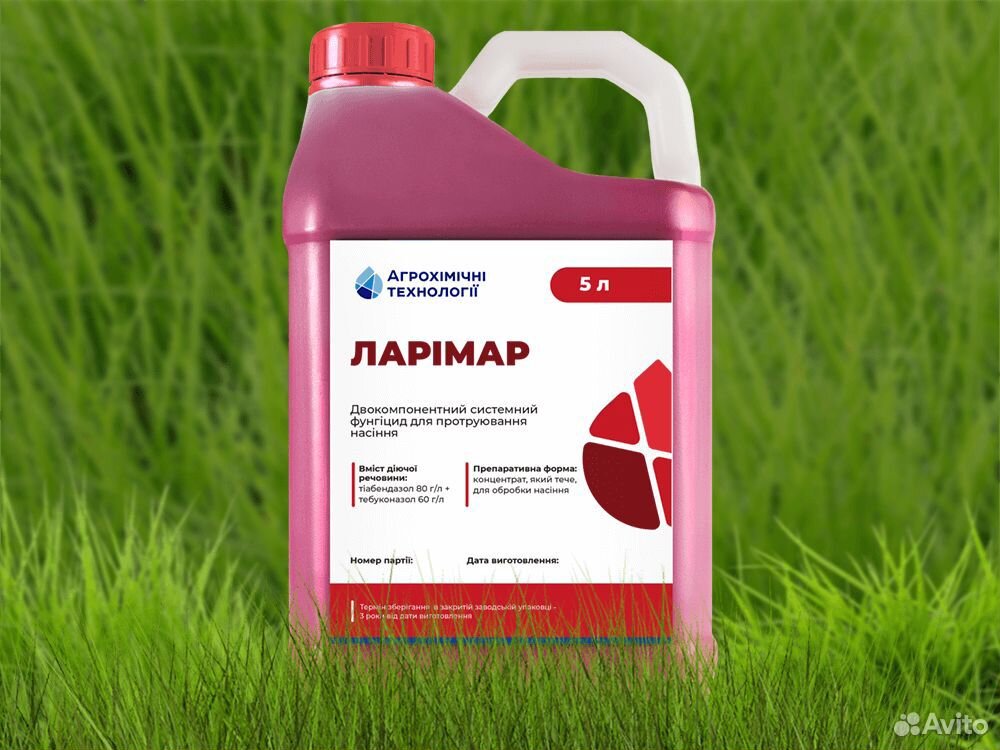 Редиго про
