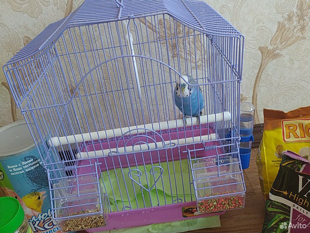 Клетка попугайчик купить на Зозу.ру - фотография № 10