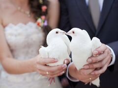 Голуби на свадьбу в Сарапуле