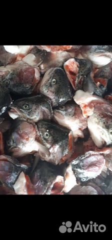 Мясо для собак