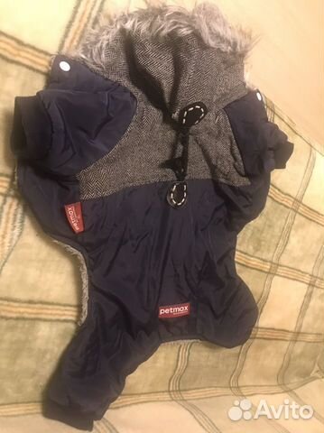 Одежда для собак