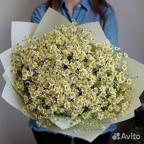 Букет ромашек в оформлении