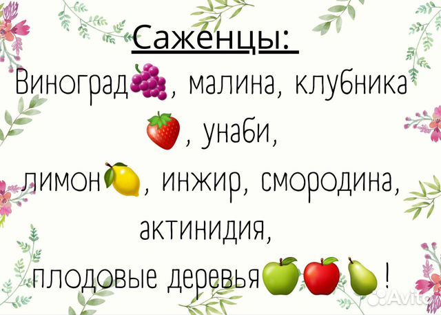 Саженцы винограда, плодовых деревьев