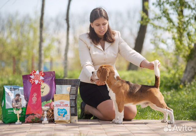 Хендлер, передержка