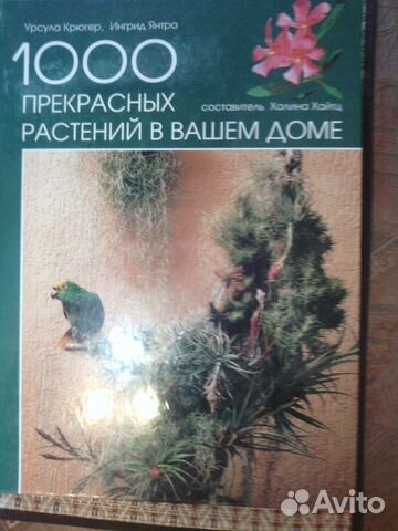 Энциклопедия комнатных растений Энциклопедия комнатных растений
