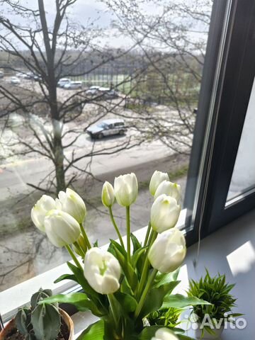 

1-к. квартира, 31 м², 2 кровати
