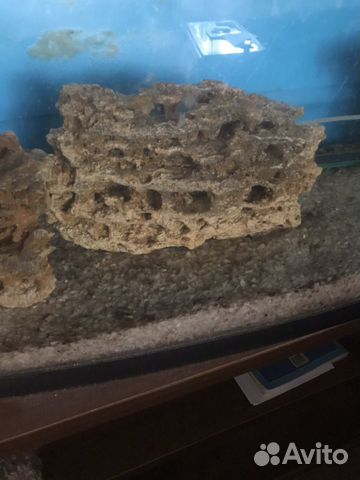 Все для аквариума Все для аквариума