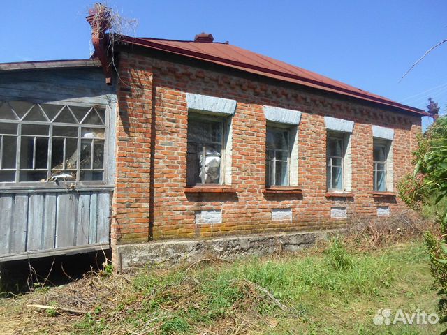 Авито Птица В Вейделевке С Фото