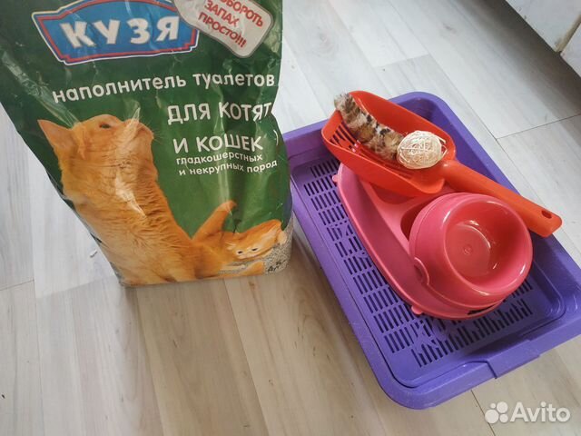 Вещи для кошки купить на Зозу.ру - фотография № 3