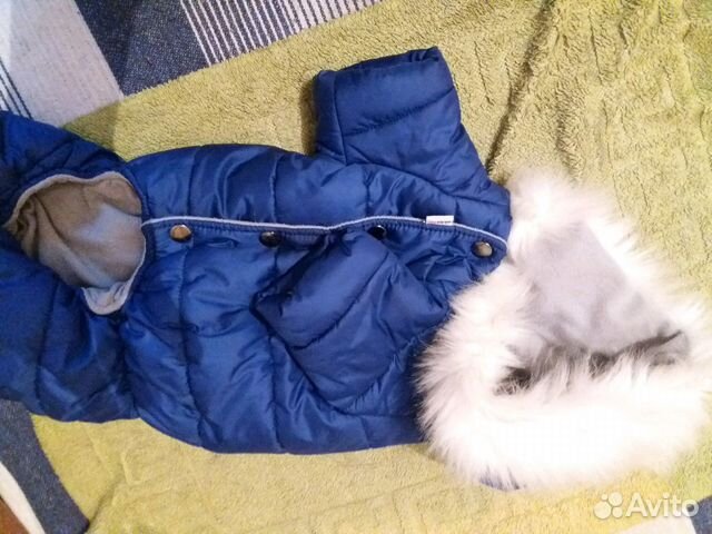 Зимний комбенизон для собак