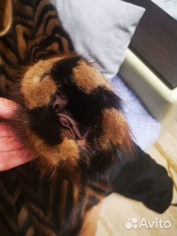 Продам норковую шубу,короткая разм 52-54