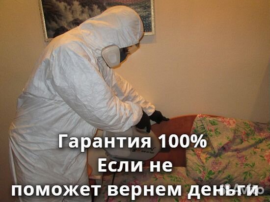 Уничтожение клопов, обработка от тараканов Уничтожение клопов, обработка от тараканов