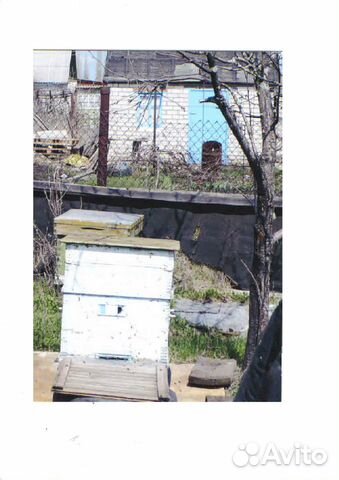 Пасека без пчел купить на Зозу.ру - фотография № 1
