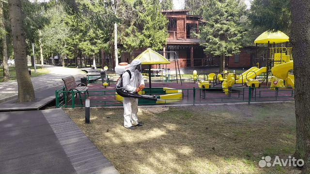Уничтожение клещей, клопов, кротов, ос. Обработка