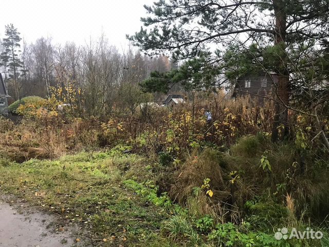 Участок 6 сот. (СНТ, ДНП)