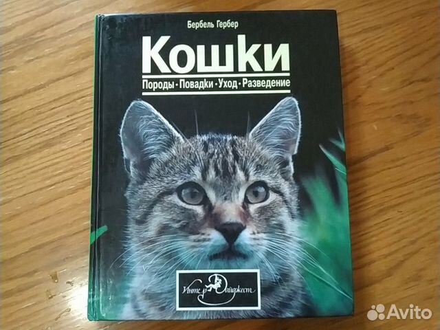 Энциклопедия о кошках Энциклопедия о кошках