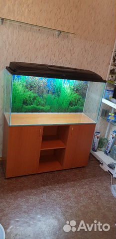 Аквариум на 200-450 литров