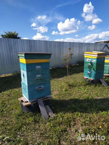 Забрус, медовуха, заготовки для рамок