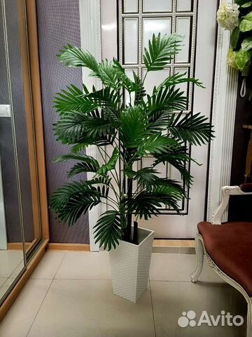Искусственная пальма