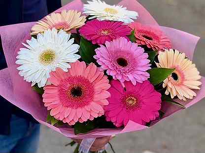 Купить цветы в пскове недорого на авито многоцветная ручка 12 цветов где купить