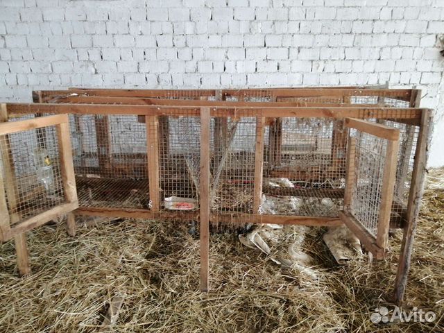 Клетка для кролика большая