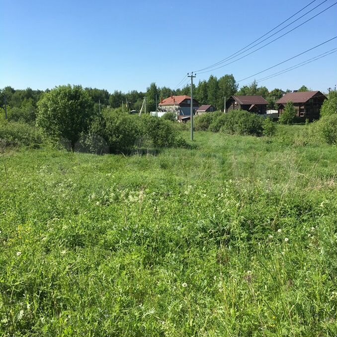 Деревня Дурниха. Дурниха Московская область. Река Дурниха Раменский район Софьинское. Деревня Дурниха Раменского района как добраться.