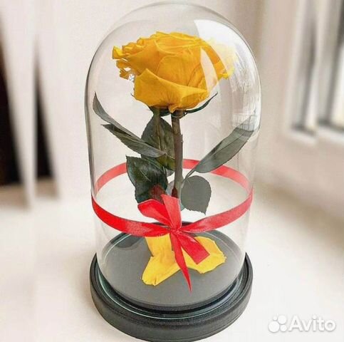 Роза в колбе