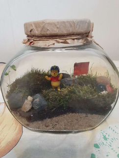Флорариум. Замкнутая экосистема. Подарок