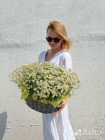 Ромашки, цветы в корзине