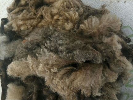 Шерсть овечья