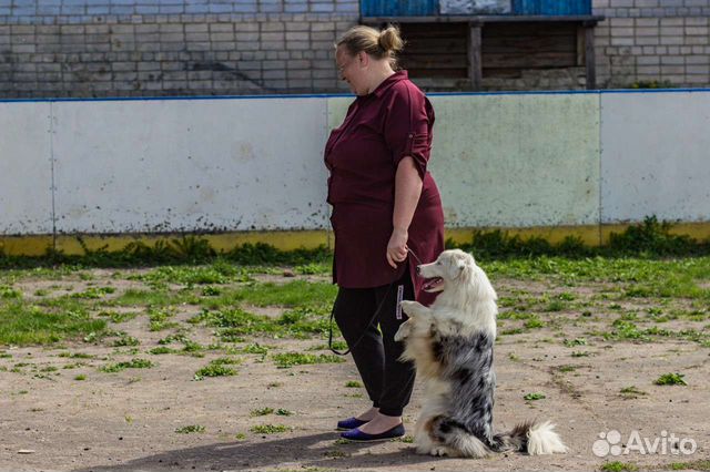 Кинолог с выездом на дом