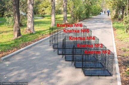 Клетка для собак и кошек