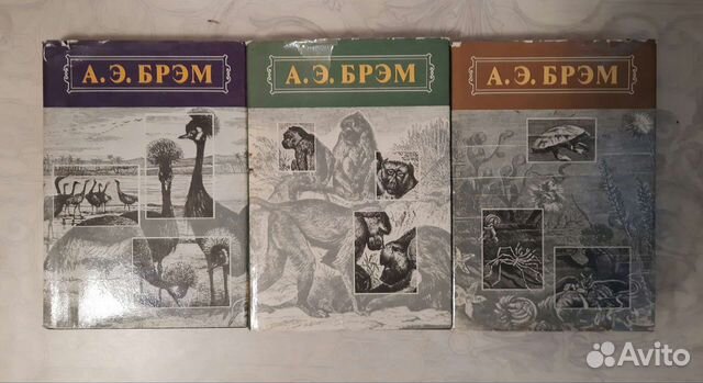 Книги Брэм А. Э