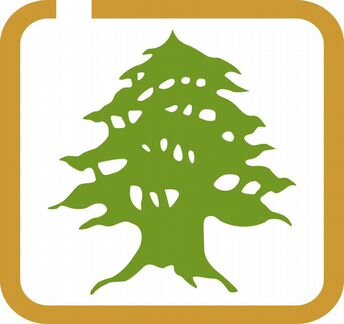 Врач стоматолог-терапевт