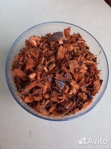 Кокосовые чипсы для орхидей