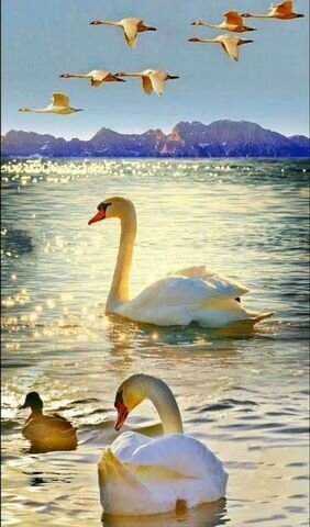 Участок 25 га (СНТ, ДНП)